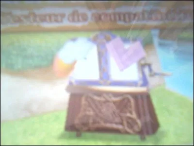 Comment libère-t-on le testeur de compatibilité ?