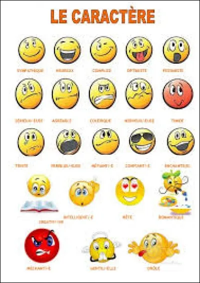 Quel caractère te définit le mieux ?