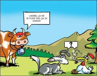 Il faut être vache pour faire ça.