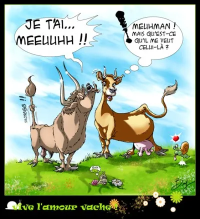 Apprécie les peaux de vaches.