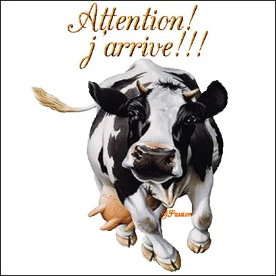 Une jolie fleur dans une peau de vache.