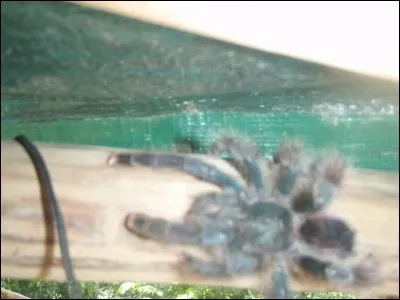 Se faire une toile !