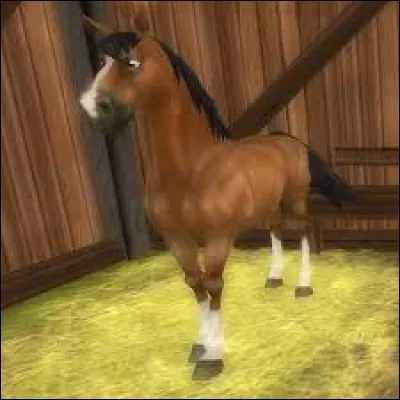 De combien de robes le Jorvikois-Sang-Chaud dispose-t-il ?