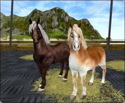 De quelle couleur sont les habits de Penny qui tient la course des poneys ?