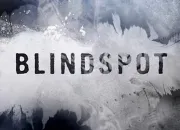 Quiz Blindspot