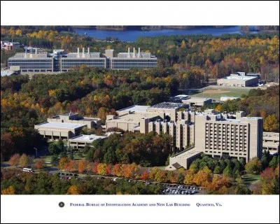 Dans la saison 1, où sont-ils intégrés ?