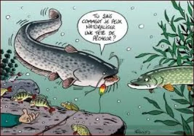 Si comme un poisson je vous ai appâtés, c'est que j'ai lancé une boule.