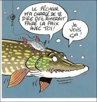 Le crochet du hameçon porte un nom précis.