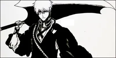 Dans "Bleach", Ichigo Kurosaki est :