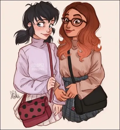 Aimes-tu le collège ?