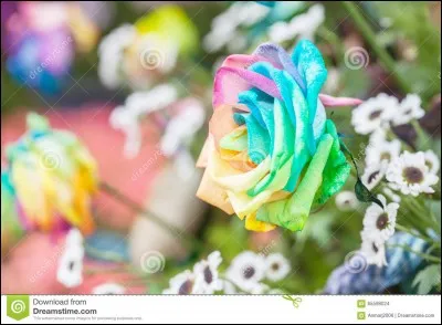 Quelle est ta couleur préférée ?