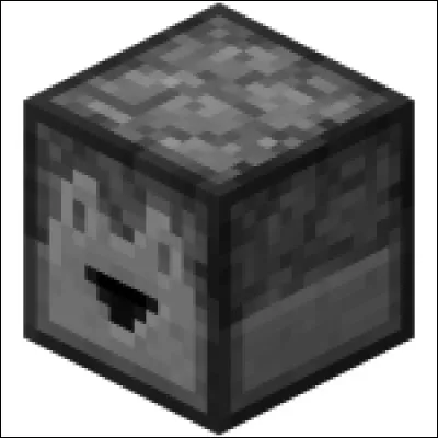 Sais-tu quel est ce bloc ?