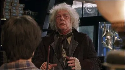 Bon, eh bien voilà ! Il ne manque plus que la baguette magique. Allons chez "Ollivander - Fabricants de baguettes magiques". Bah quoi ?! La route vers la réussite est truffée d'obstacles et il vous faudra bien une baguette magique.