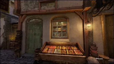 Maintenant que vous êtes prêt, direction "Fleury et Bott". Bah, quoi ? Il vous faudra bien des bouquins pour étudier et apprendre. Ne me dites pas que vous comptiez sur Hermione pour vous aider dans vos devoirs ?!