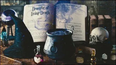 On vous apprend que votre professeur de potions sera sévère cette année (voire pire que Rogue) et bien sûr, vous savez qu'un cours de potions ne peut exister sans chaudron. Pour ça, vous vous hâtez "Au Bon Chaudron".