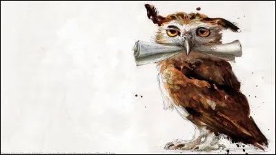 Tout en bas de votre liste, vous lisez qu'il est possible d'amener un animal. Ne voulant point d'un chat et encore moins d'un crapaud. Vous optez pour un hibou ou une chouette. Vous vous rendez donc "Au Royaume du Hibou".