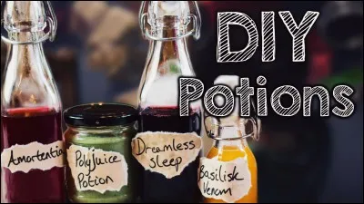 Mais qu'est-ce que je suis bête ! Je vous parle de potions et de chaudrons alors que j'ai oublié de vous envoyer chez "L'Apothicaire" pour acheter vos ingrédients. Non, mais quelle idiote ! Une potion ne peut exister sans ingrédients.