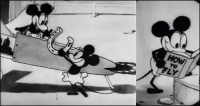 Lettre « D » comme « Dessin animé » ou comme « Disney » !
On connaît tous la principale création de Walt Disney avec « Mickey Mouse ». Walt l'avait nommé « Mortimer Mouse ». C'est son épouse, Lilian, qui lui donna le nom de « Mickey ».
Mais connaissez-vous le nom du premier dessin animé où Mickey apparaît ?