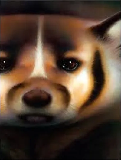 Je n'être pas un chat mais j'avoir aidé les clans plusieurs fois ; à trouver un nouveau territoire, à se battre contre la Forêt Sombre... Vous avoir deviné qui j'être ?