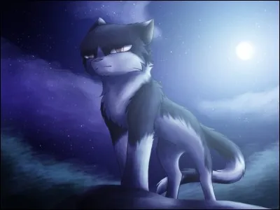 - J'étais le compagnon de la sur d'Étoile Bleue, et le mentor d'Étoile du Tigre, qui suis-je ?