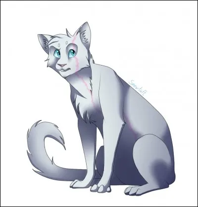 - C'est sur moi que Plume de Faucon a fait sa démonstration pour éventrer. Depuis, je garde une grande cicatrice. Qui suis-je ?