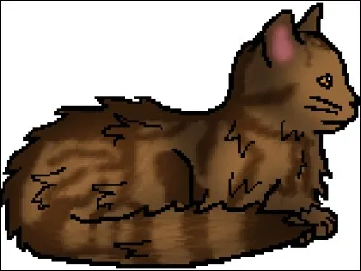 J'étais solitaire avant qu'les petits du clan du tonnerre ne m'accueillent, qui suis-je ?