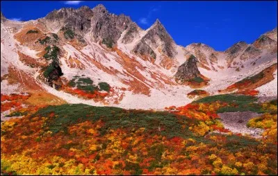 Il y a 5 collines &agrave; Rome.