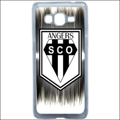 Quel est le gardien titulaire d'Angers Sporting Club de l'Ouest ?