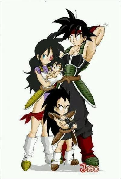 Que signifient les noms de tous les Saiyans ?