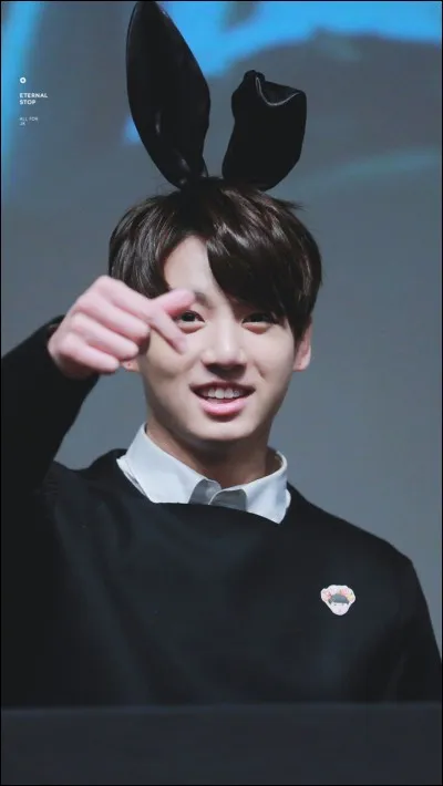 Quelles sont les couleurs préférées de Jungkook ?