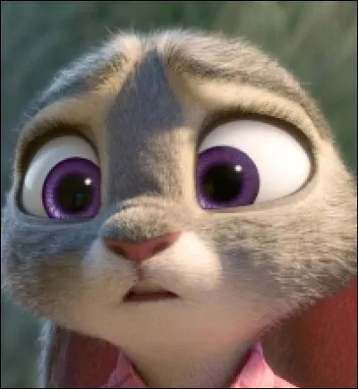 Pourquoi Judy a-t-elle démissionné ?