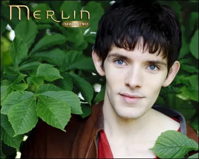 Merlin est...
