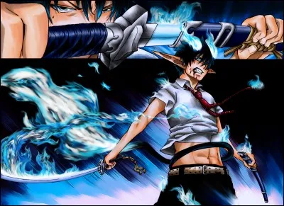 Quel est ce shōnen ?