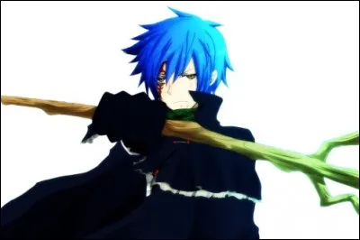 (Question qui n'a rien à voir) Fait-il partie de "Fairy Tail" ?