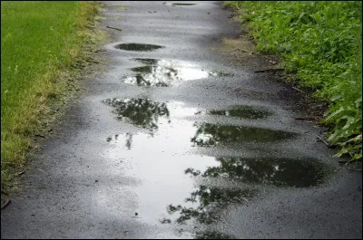 Ils ont chanté "Rain" !