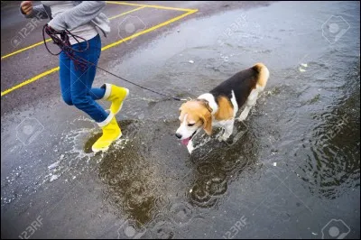 Il a chanté "Rain" !