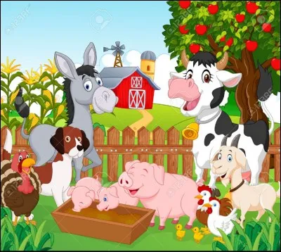 Quel est ton animal favori entre ces animaux ?