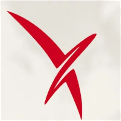 À qui appartient ce logo de team ?