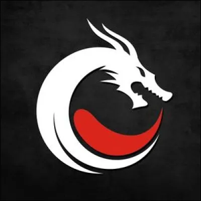 À qui appartient ce logo de team ?