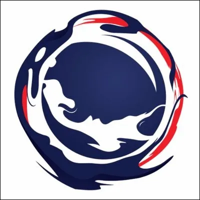 À qui appartient ce logo de team?