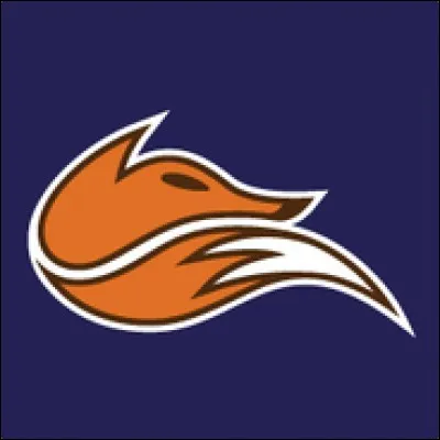 À qui appartient ce logo de team ?