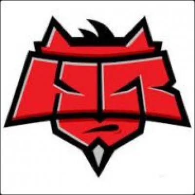 À qui appartient ce logo de team ?