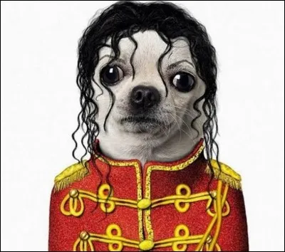 Pour certains, il n'est pas mort, pour moi, il est d&eacute;c&eacute;d&eacute; en 2009.