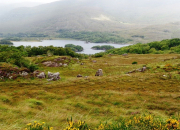 Quiz L'Irlande dans tous les domaines