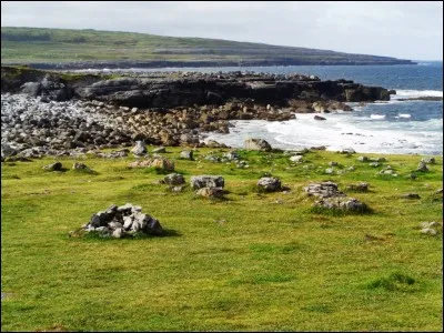 Sport : Dans quel sport, le plus populaire en Irlande, des équipes représentant leur comté s'affrontent-elles lors du "All Ireland Championship" dont la finale se tient en septembre dans le fameux stade de Croke Park, à Dublin ?