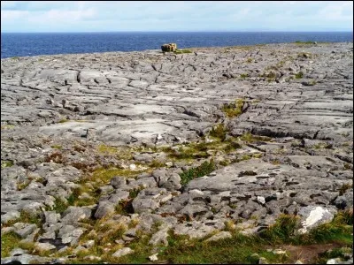 Nature : Quel est ce parc national, situé dans le comté de Clare, caractérisé par un plateau calcaire qui s'est fragmenté lors des glaciations pour donner ce somptueux paysage ?