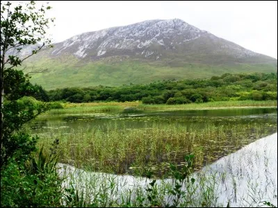 Littérature : Parmi ces écrivains, trois sont Irlandais. Cochez l'intrus.