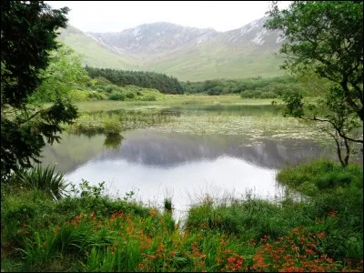 Internet : Quelles lettres nous indiquent que le site web que nous consultons est irlandais ?