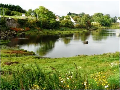 Langues : Selon la constitution irlandaise, quelle est la première langue officielle du pays ?
