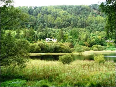 Histoire : Parmi ces peuples, lequel ne s'est jamais implanté en Irlande ?
